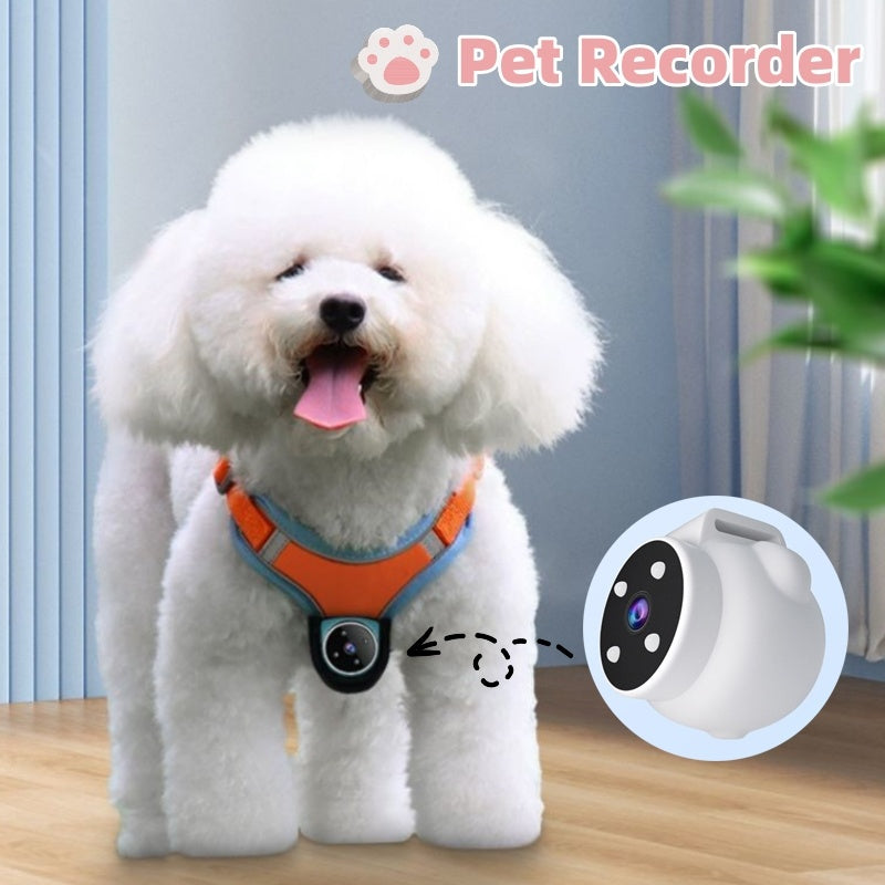 Dogs And Cats Viewing Angle Motion Recording Camera