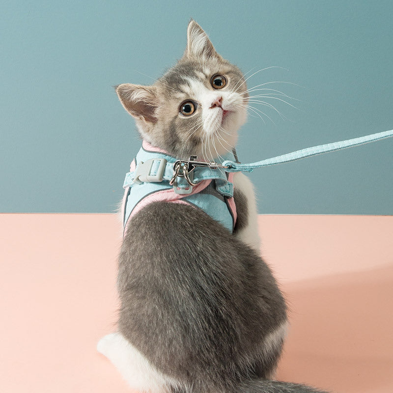 Escape-Proof Cat Harness with Traction Rope