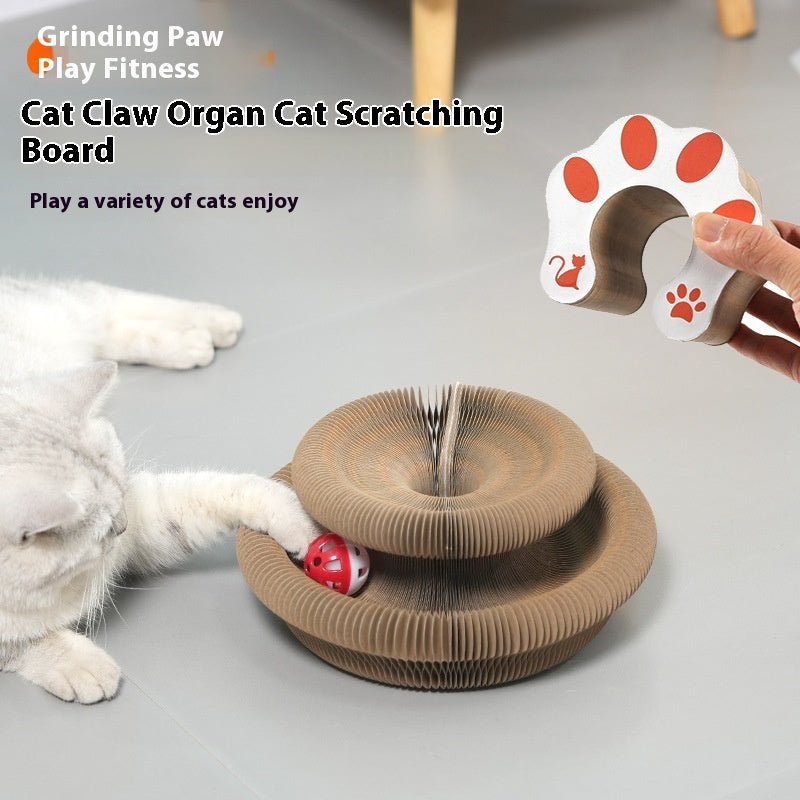 Magic Organ Cat Toy Cats Scratcher