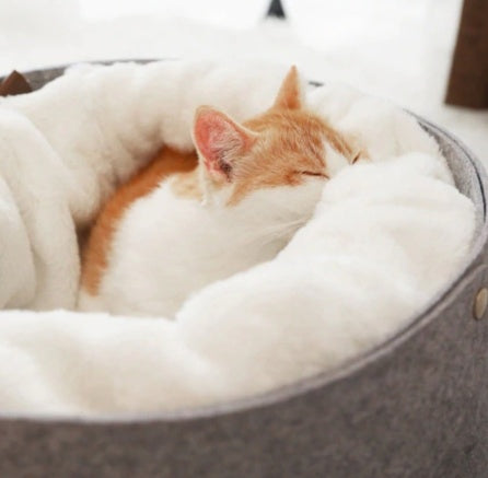 New warm comfortable Pet Bed