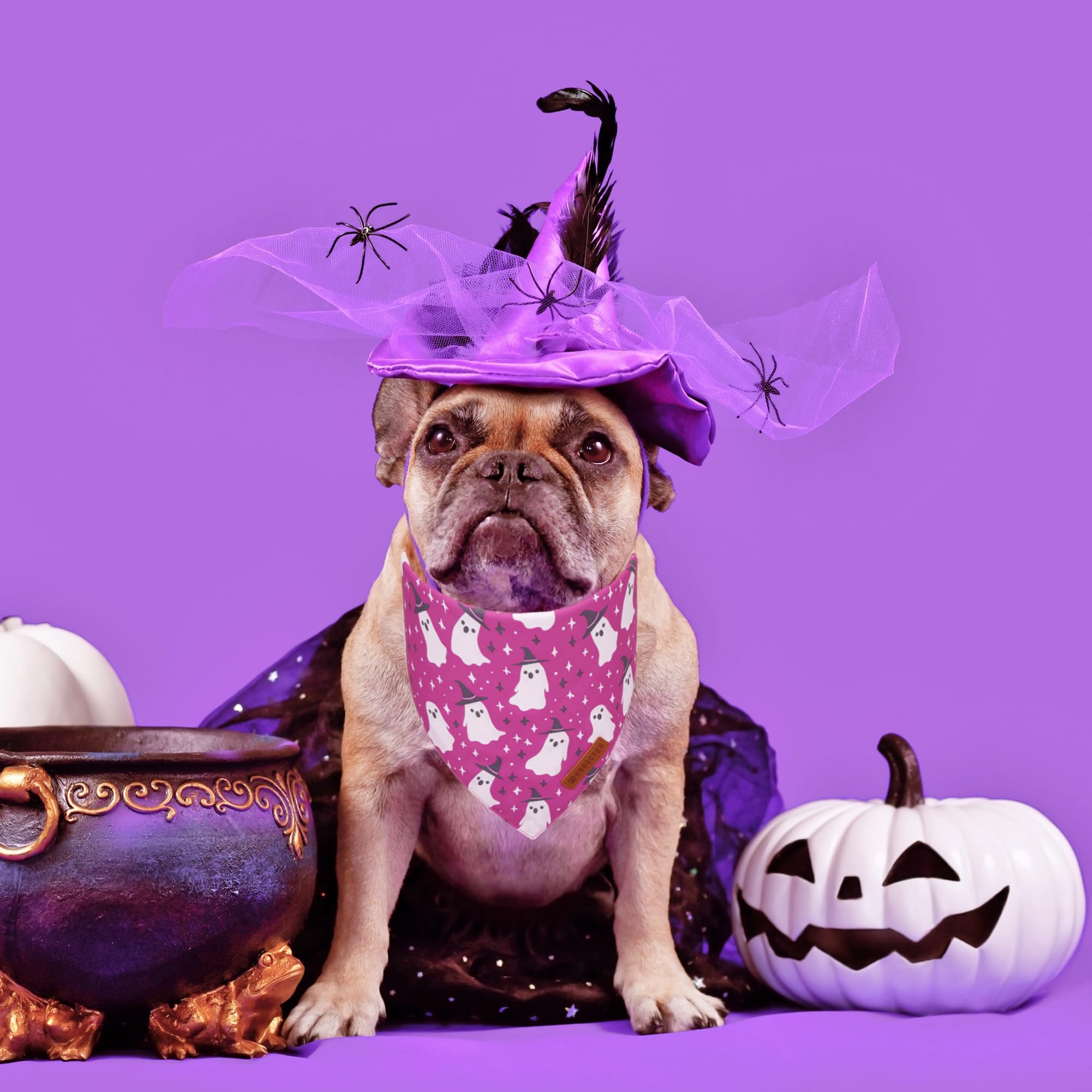 ADOGGYGO Halloween Dog Bandana