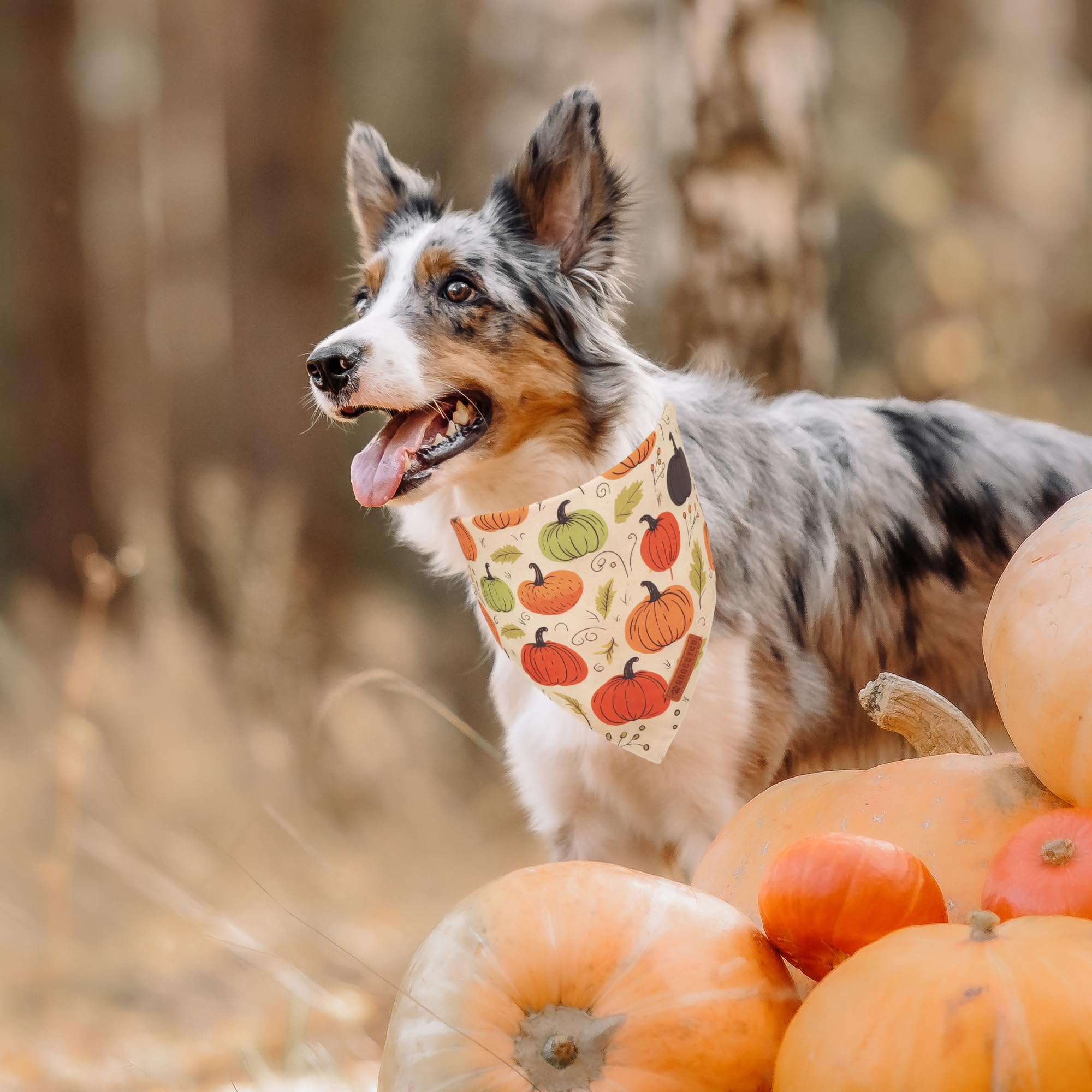 ADOGGYGO Halloween Dog Bandana