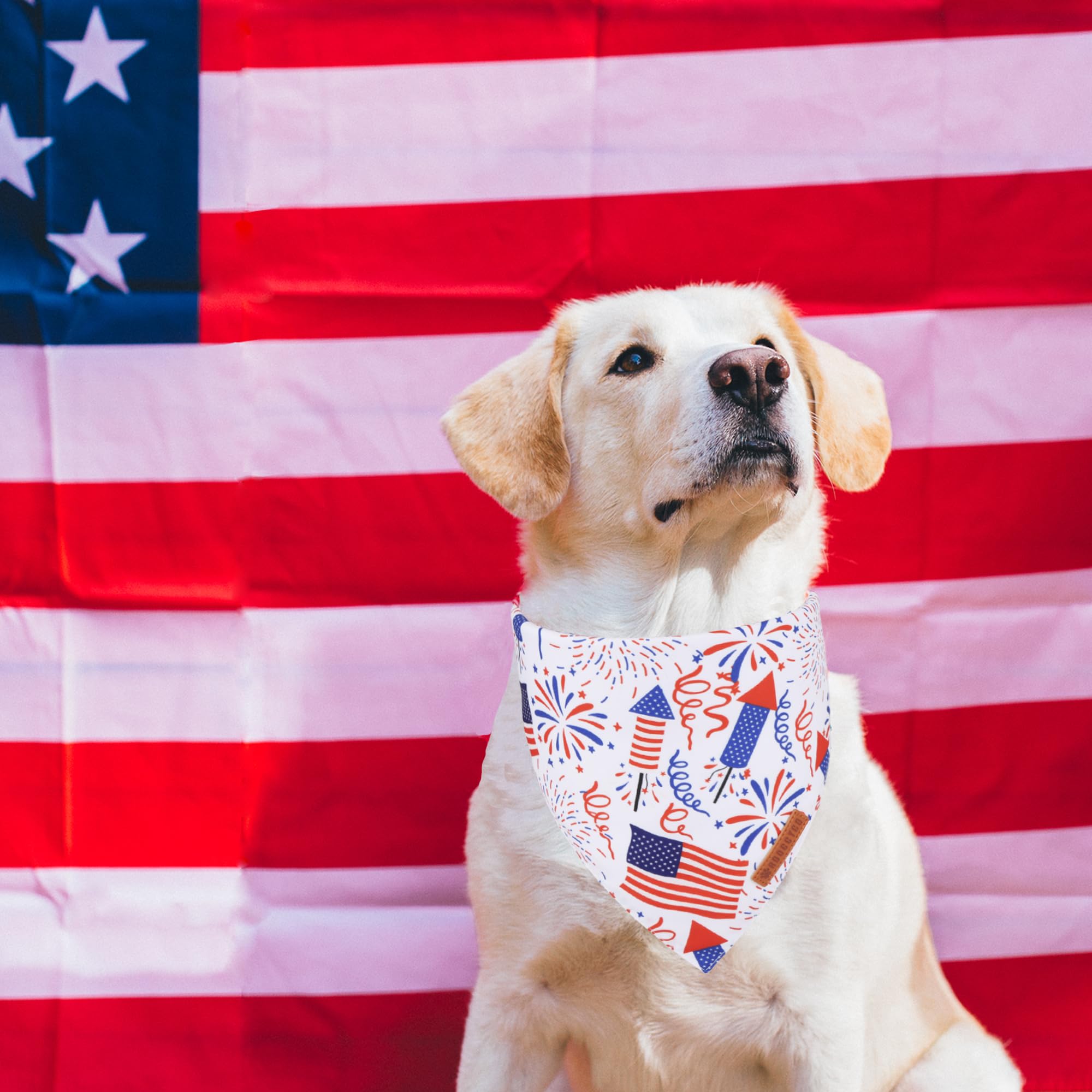ADOGGYGO Halloween Dog Bandana