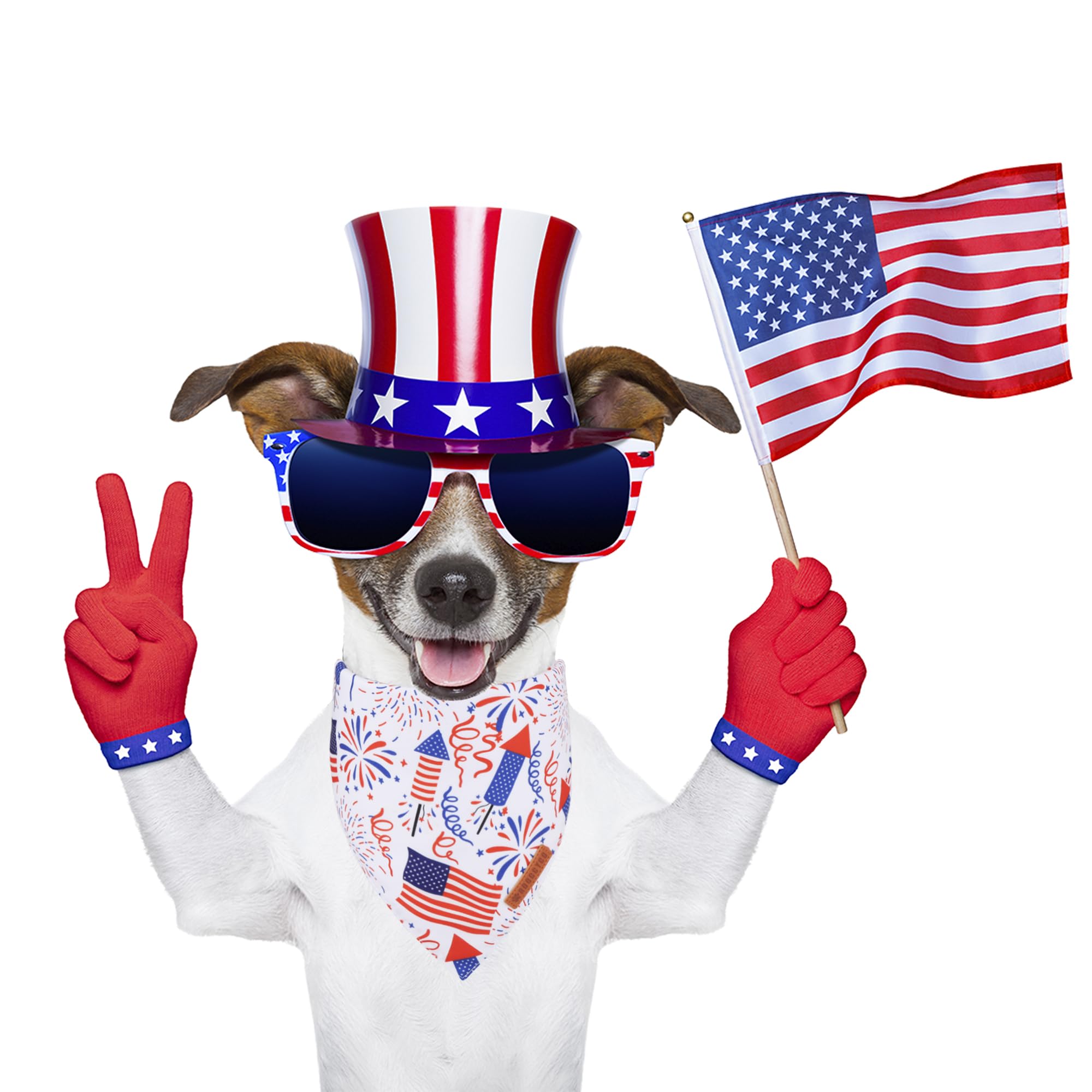 ADOGGYGO Halloween Dog Bandana
