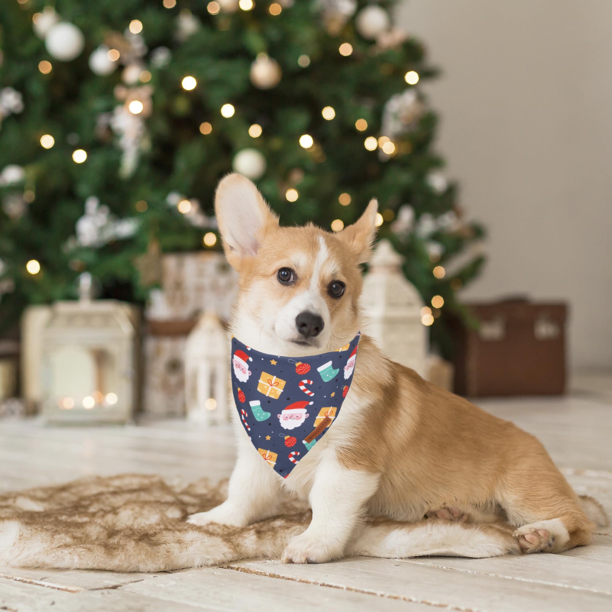 ADOGGYGO Halloween Dog Bandana