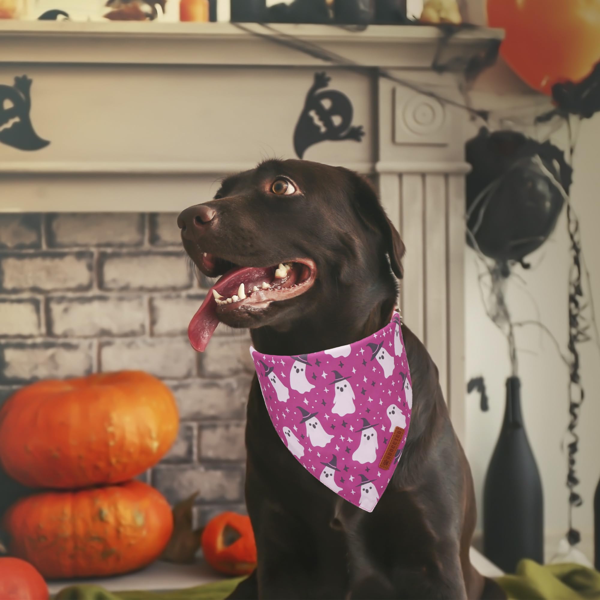 ADOGGYGO Halloween Dog Bandana