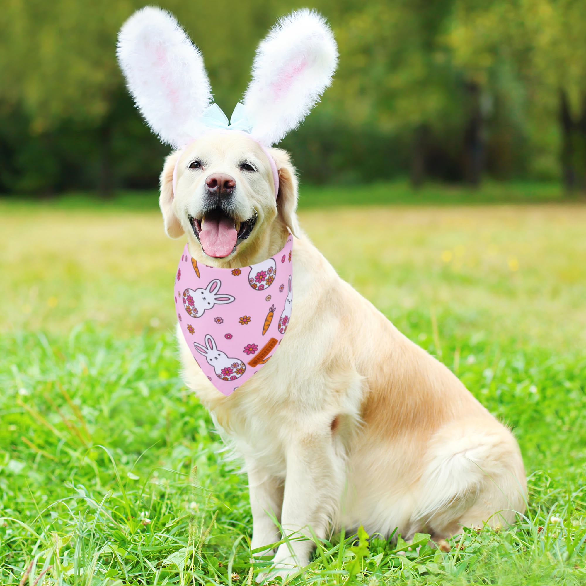 ADOGGYGO Halloween Dog Bandana