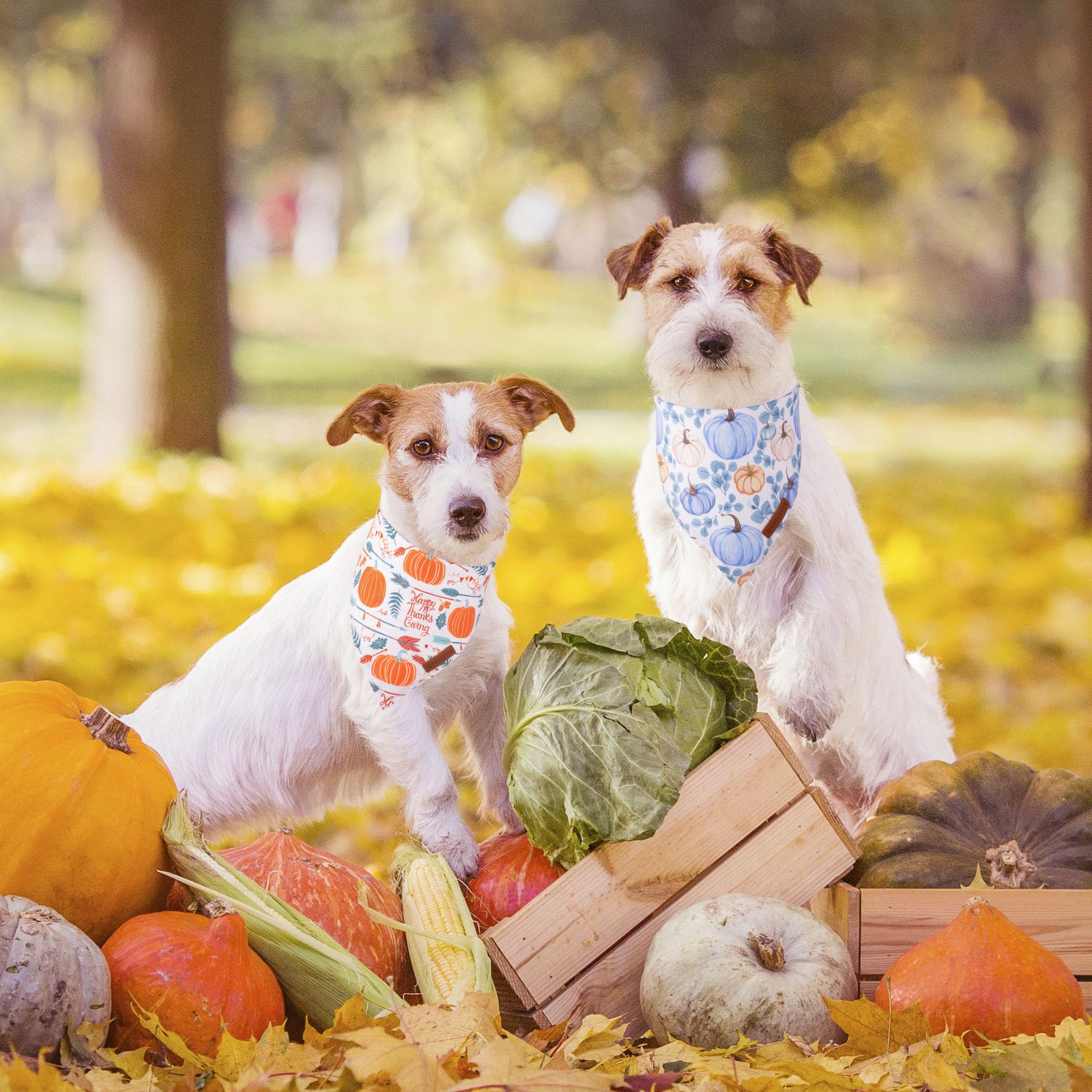 ADOGGYGO Halloween Dog Bandana