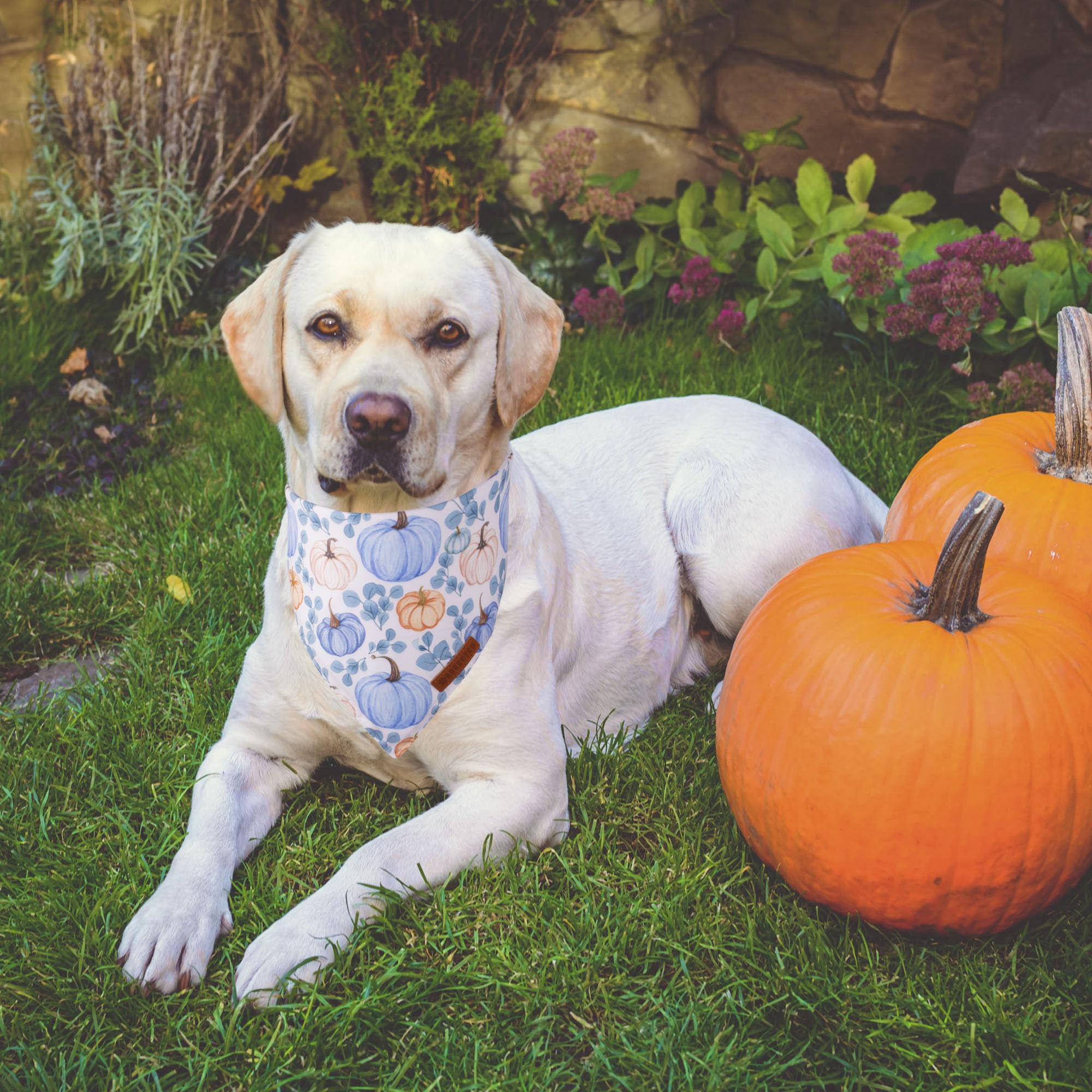ADOGGYGO Halloween Dog Bandana