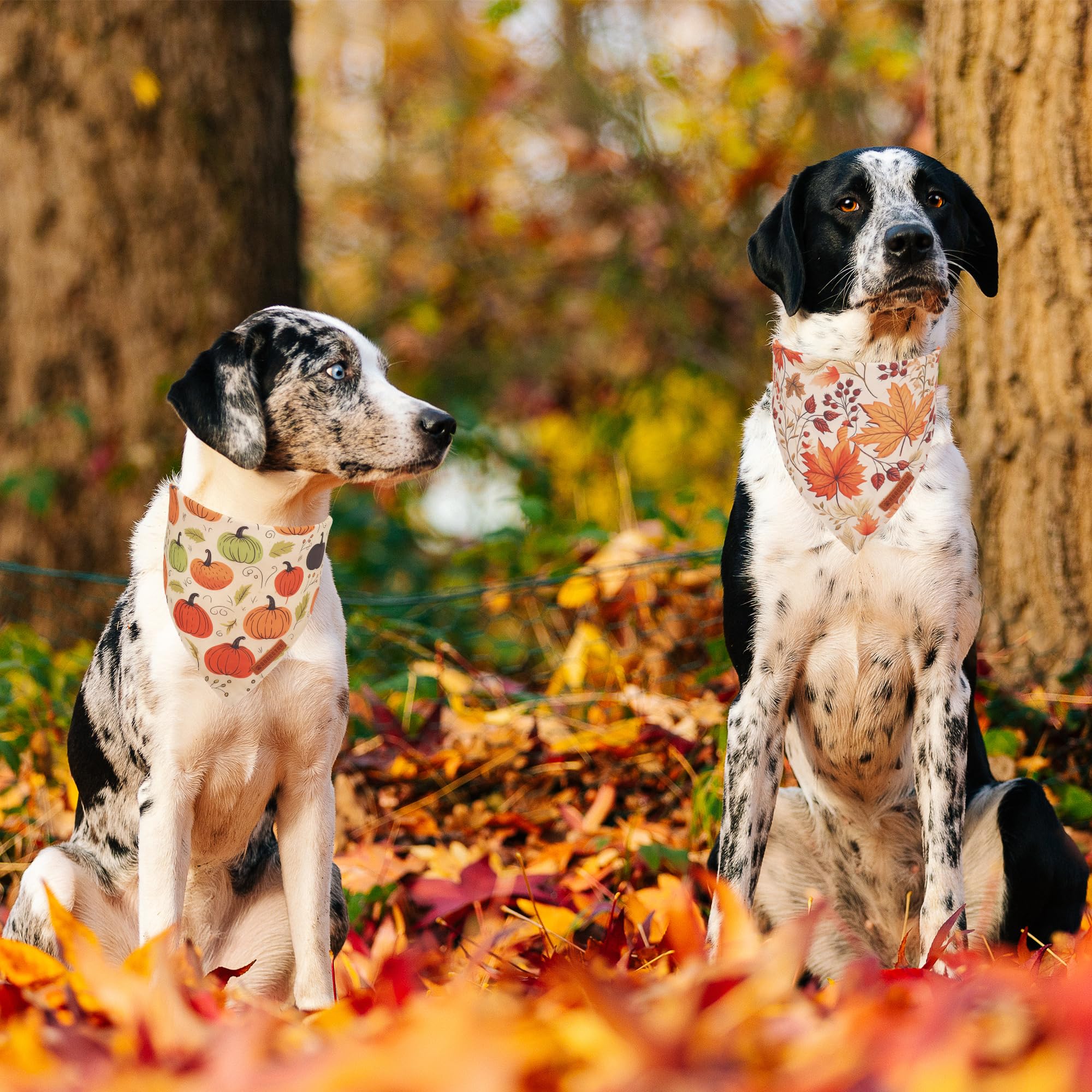 ADOGGYGO Halloween Dog Bandana