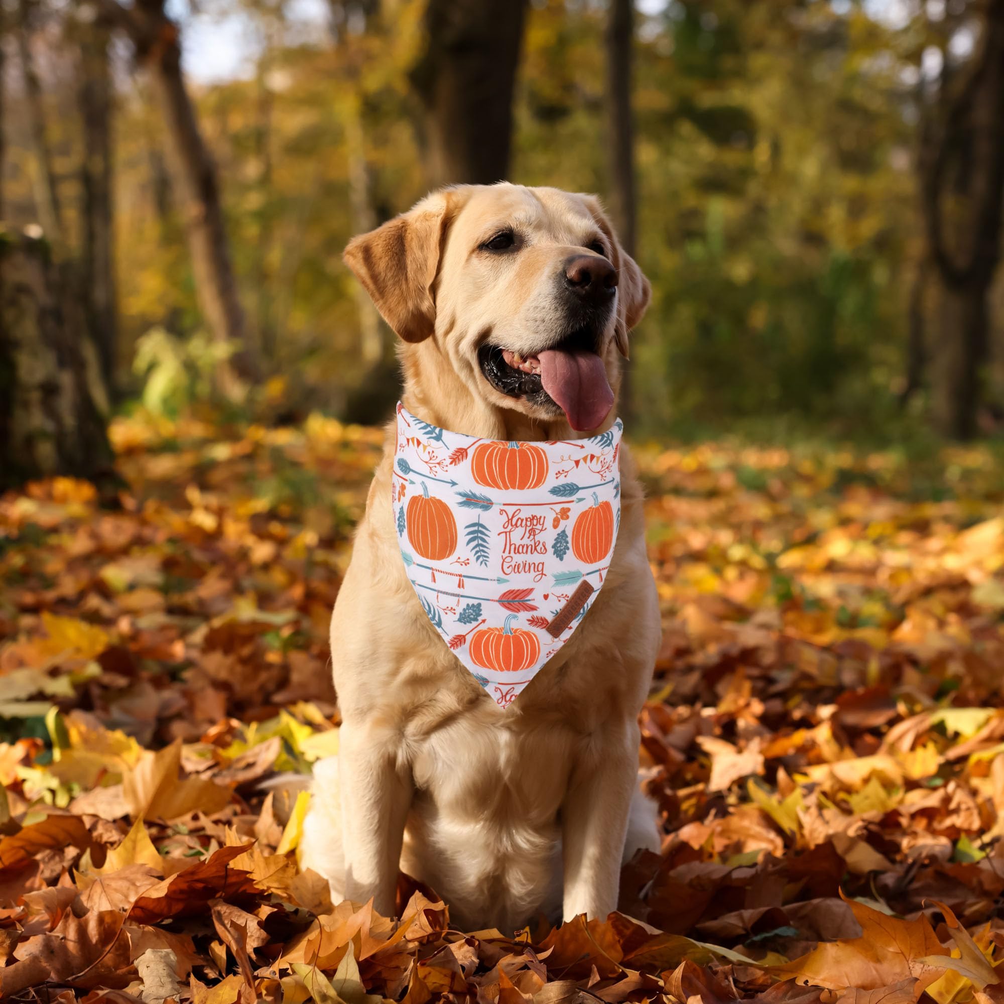 ADOGGYGO Halloween Dog Bandana