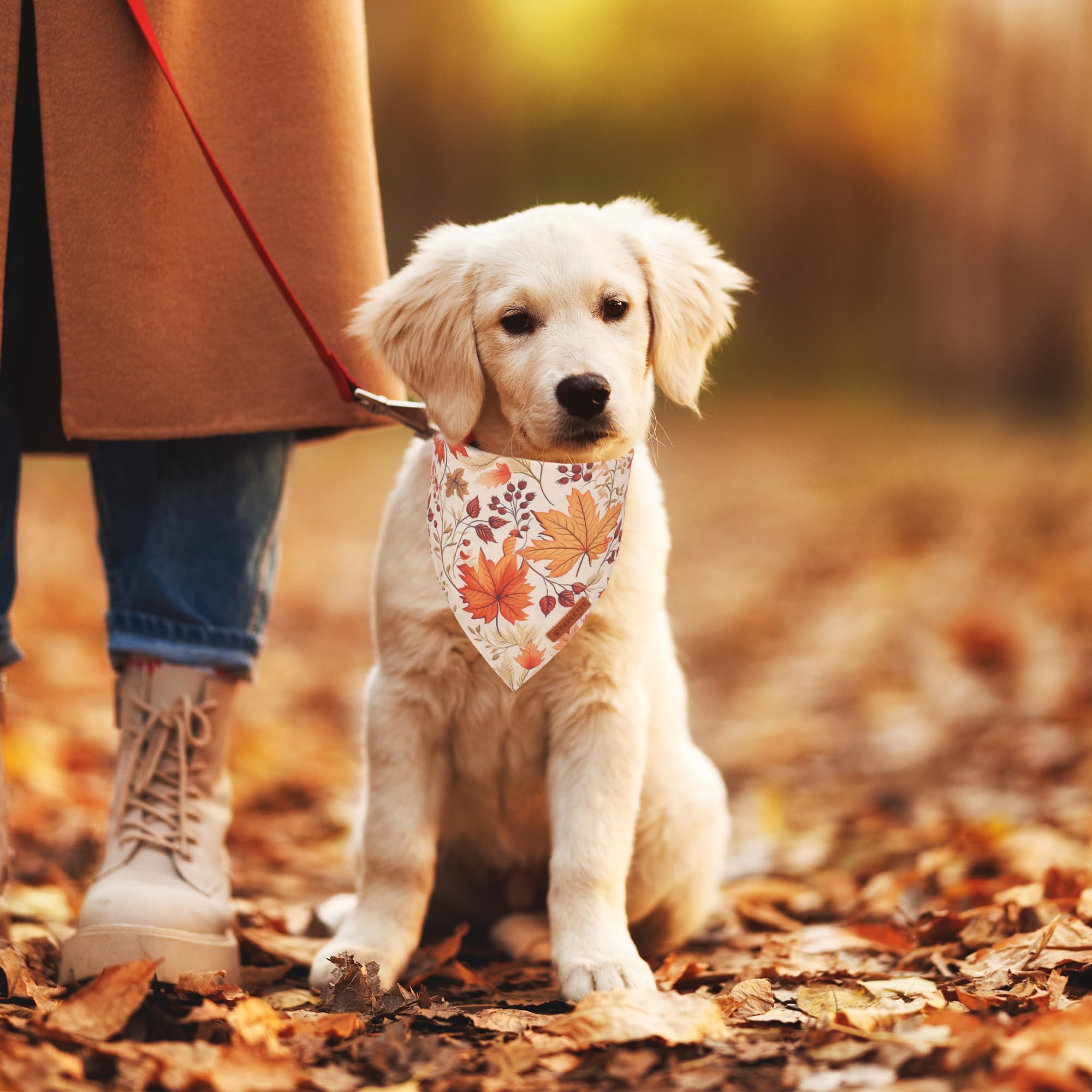 ADOGGYGO Halloween Dog Bandana