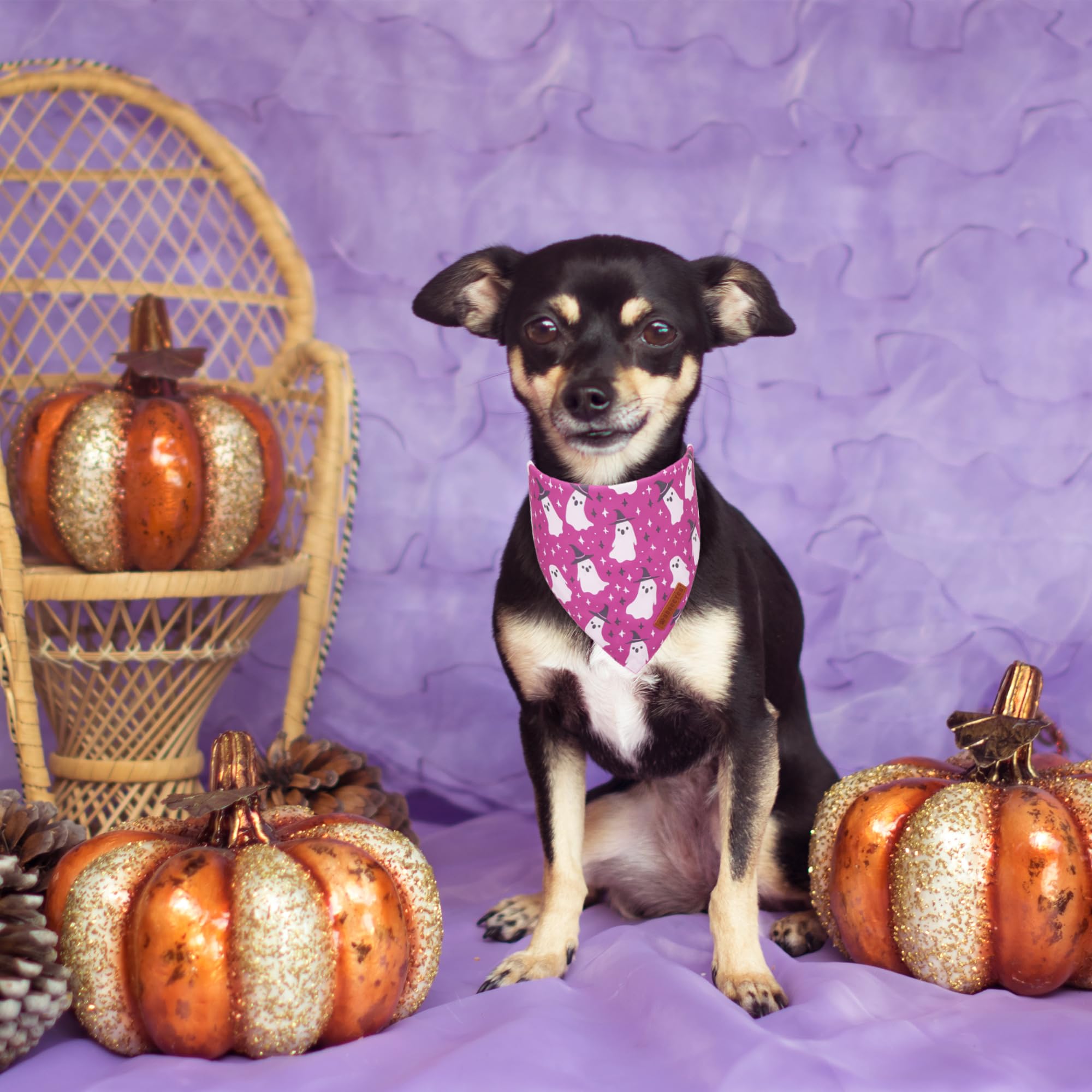 ADOGGYGO Halloween Dog Bandana