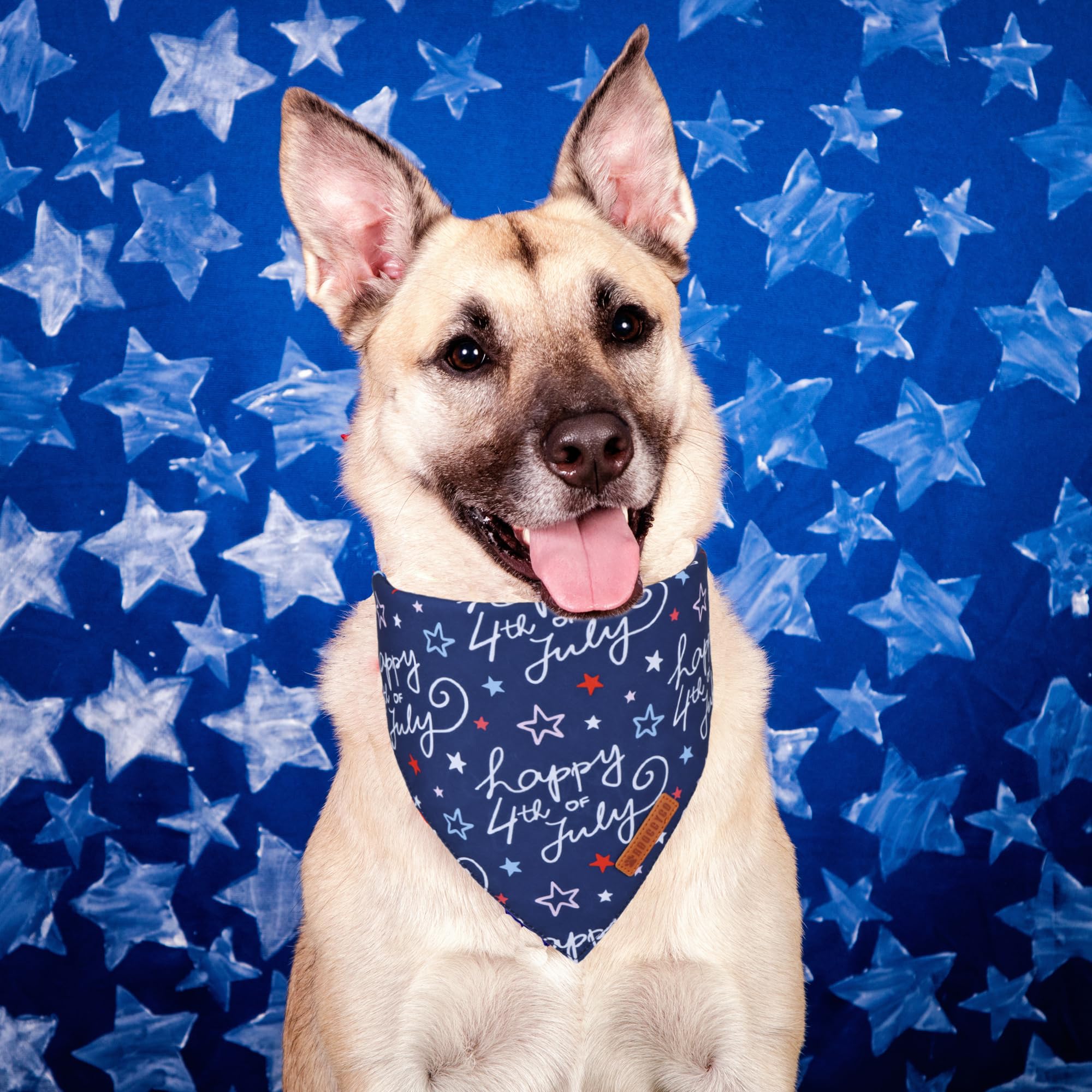 ADOGGYGO Halloween Dog Bandana