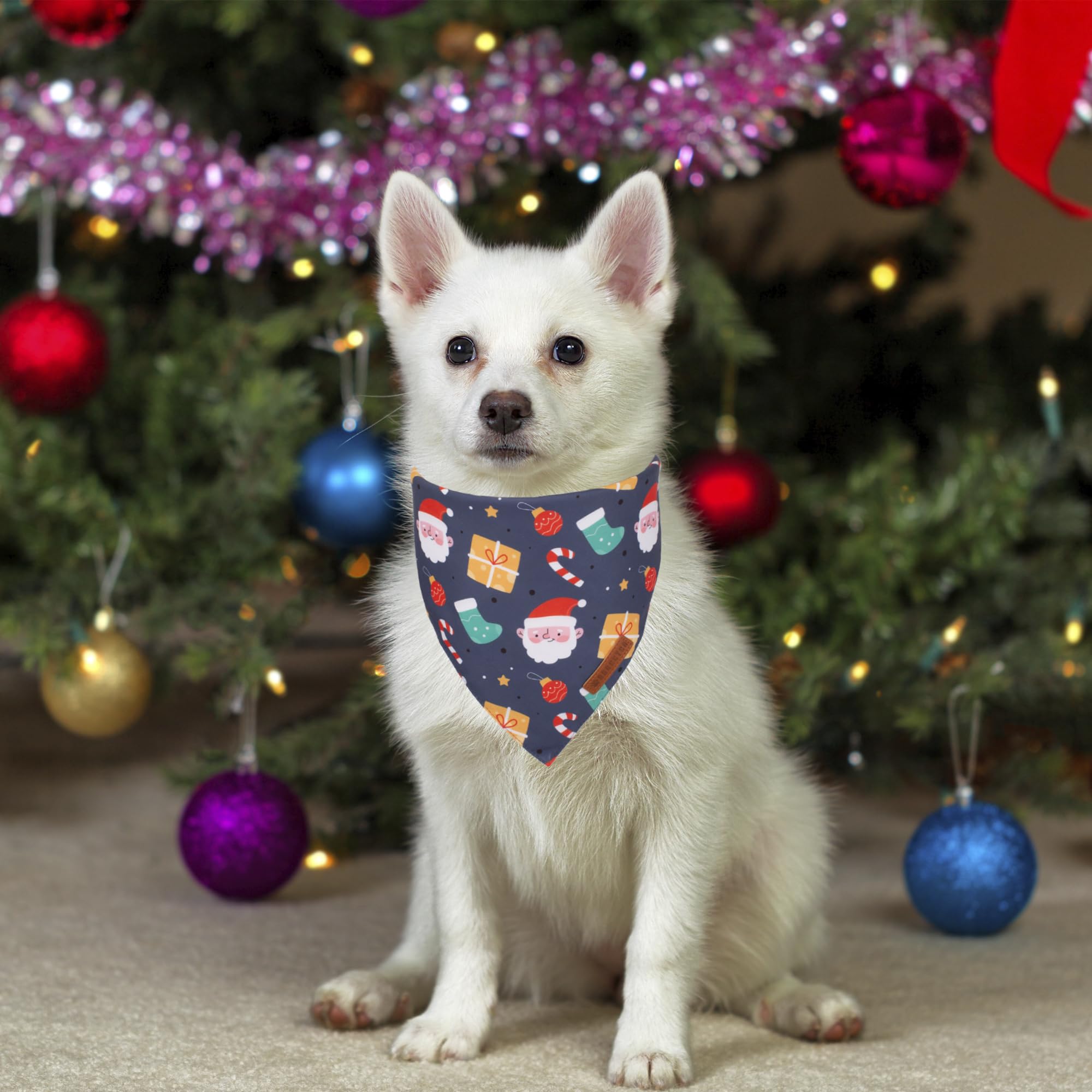 ADOGGYGO Halloween Dog Bandana