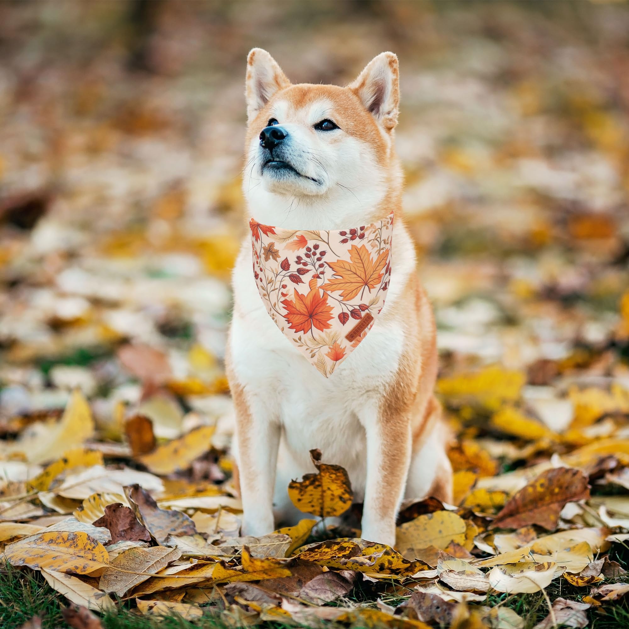 ADOGGYGO Halloween Dog Bandana