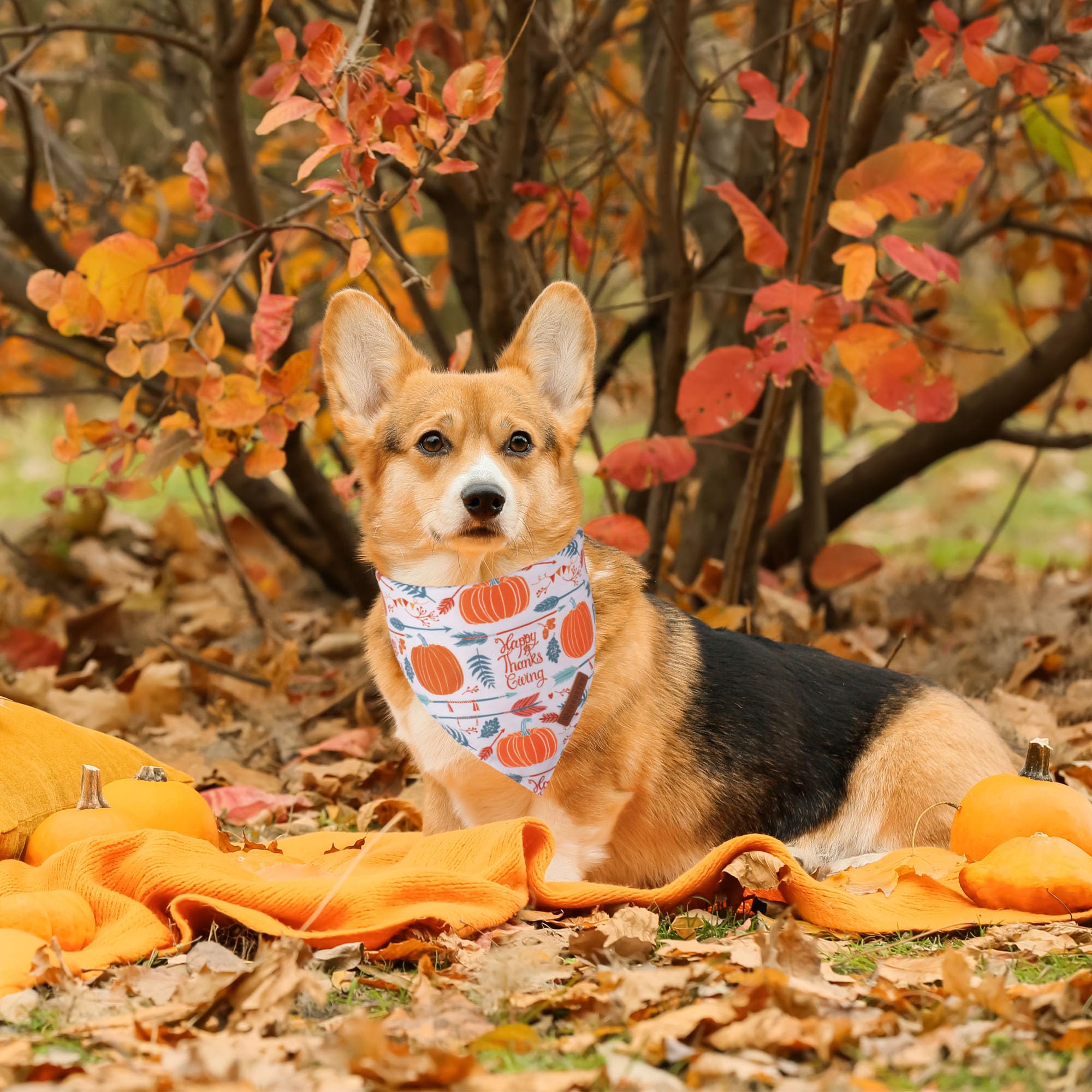 ADOGGYGO Halloween Dog Bandana