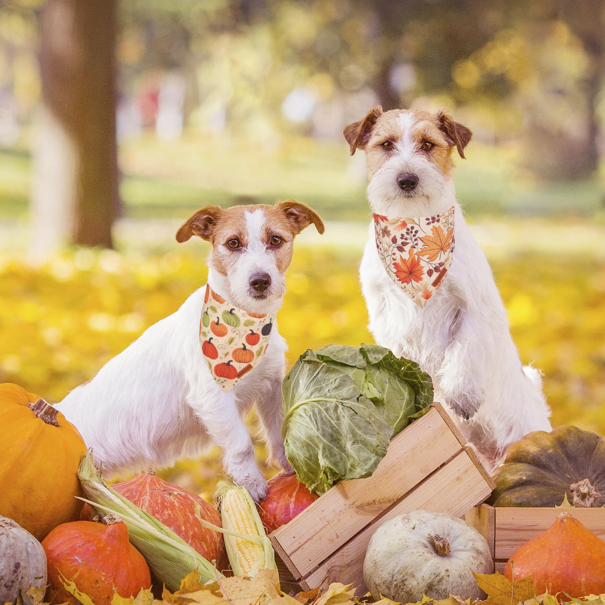 ADOGGYGO Halloween Dog Bandana