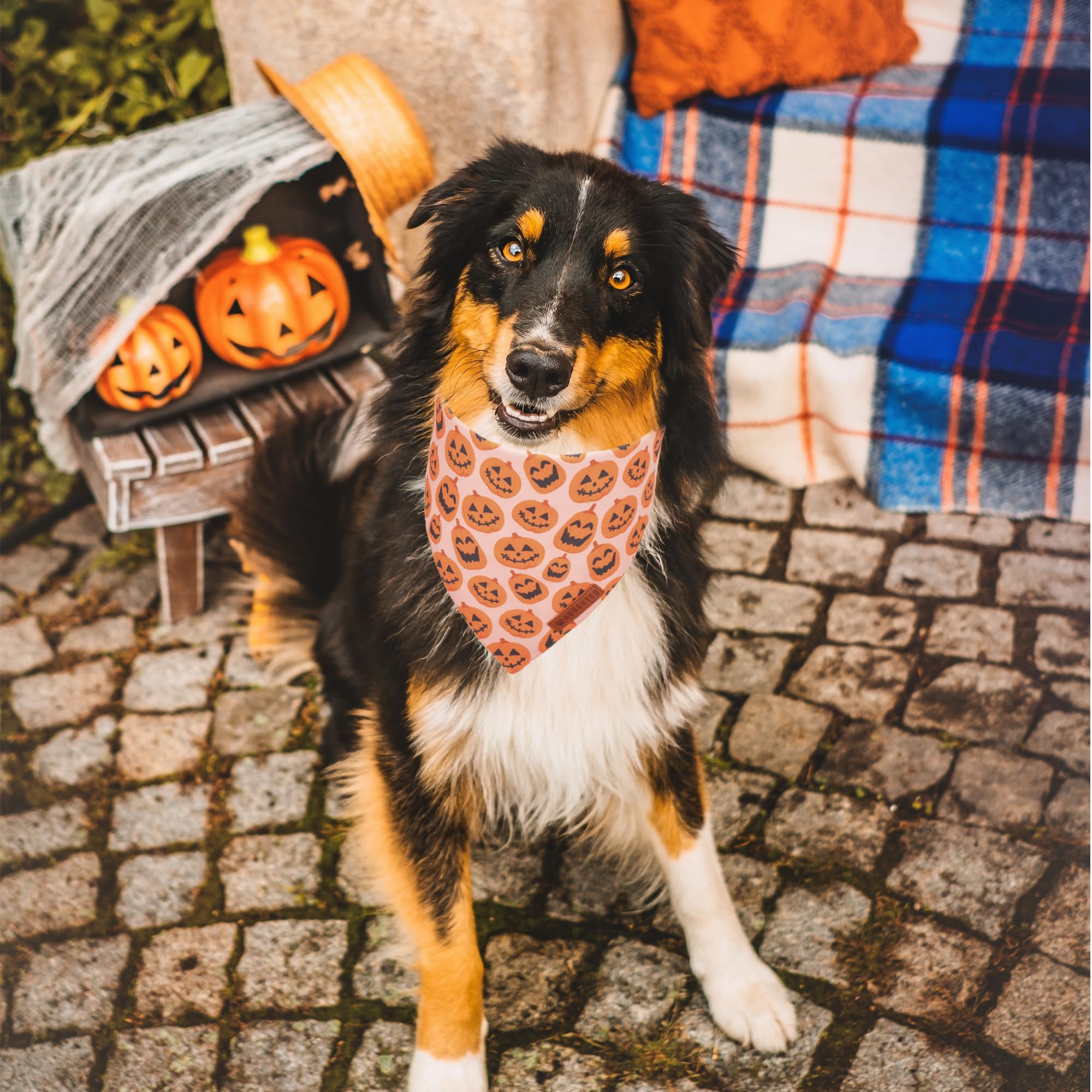 ADOGGYGO Halloween Dog Bandana