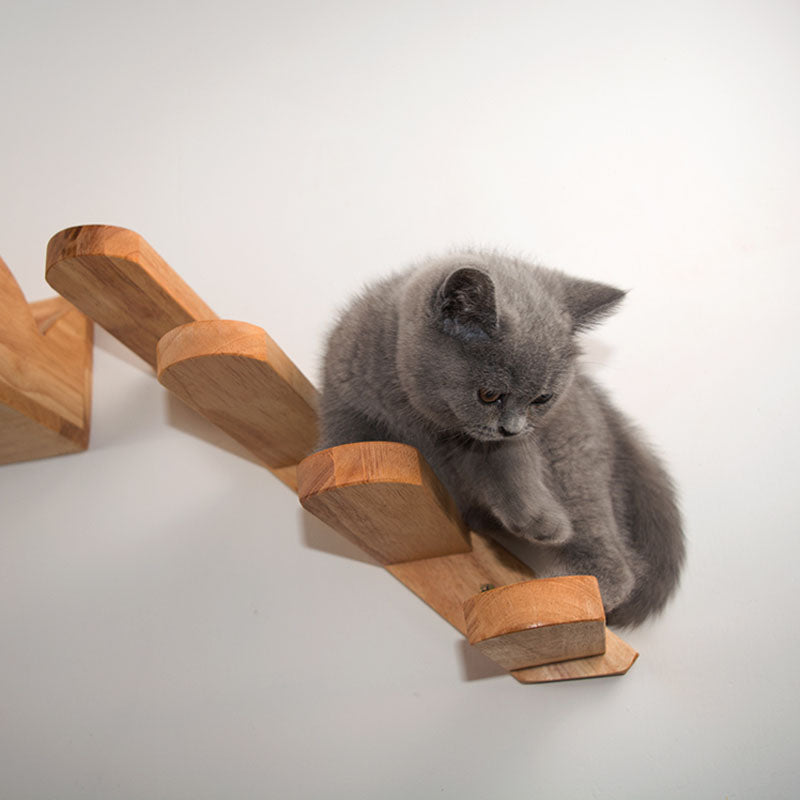 Cats Climbing Ladders Stair Toys