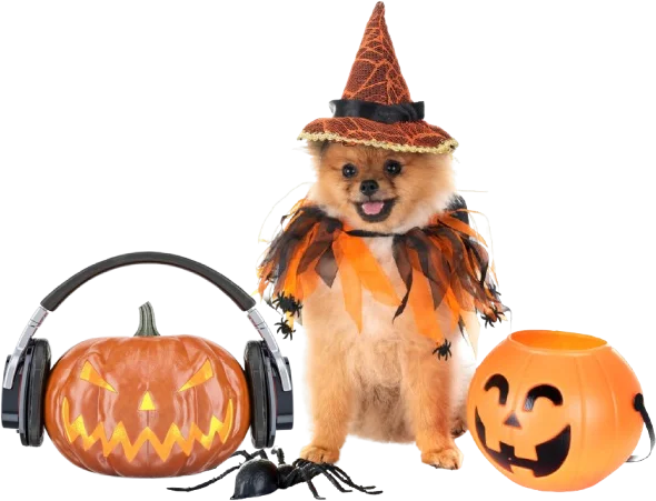 Spooky Tails & Happy Howls!
